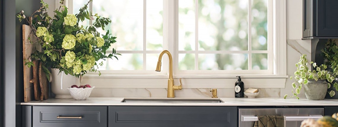 Moen 1